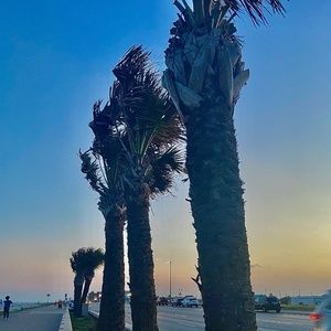 Meet your Posher, Layla